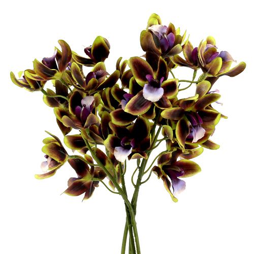 Floristik24 Orchidée Cymbidium Vert, Violet L38cm 4pcs