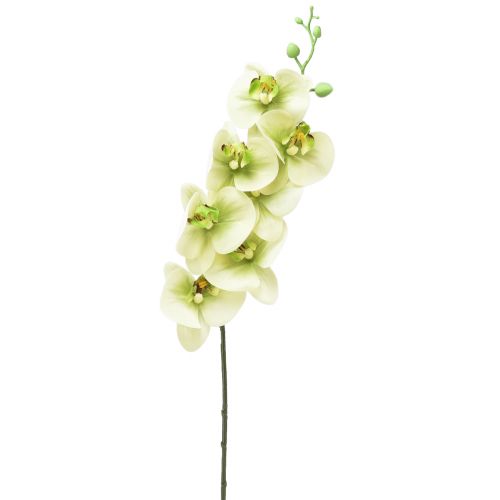 Orchidée Artificielle Jaune Vert Phalaenopsis L83cm