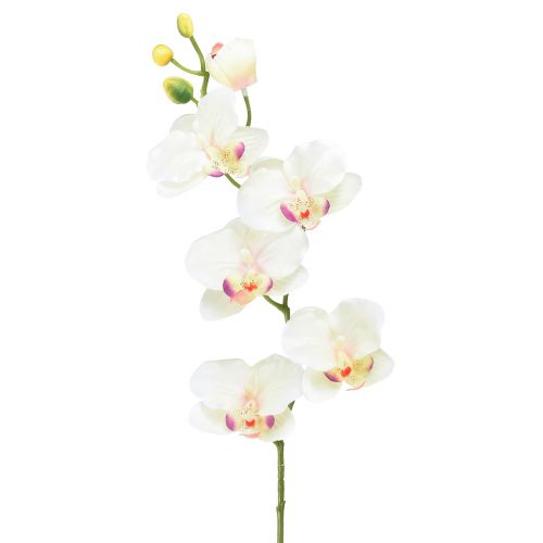 Orchidée Phalaenopsis artificielle 6 fleurs rose crème 70cm