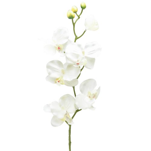 Article Orchidée Phalaenopsis artificielle 6 fleurs blanc crème 70cm