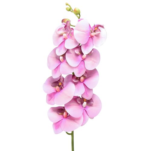 Orchidée Phalaenopsis artificielle 8 fleurs rose 104cm