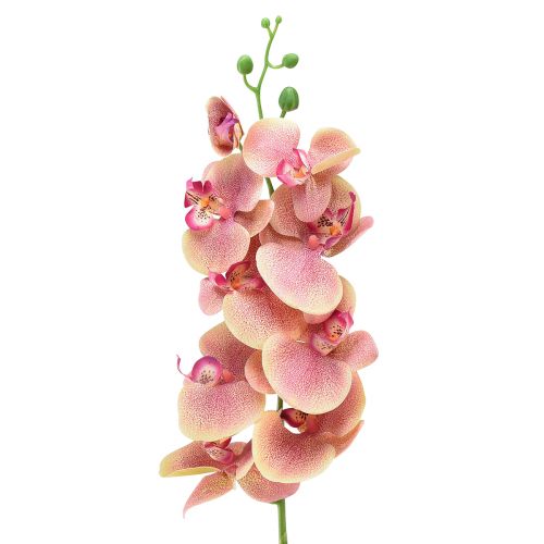 Floristik24 Orchidée Phalaenopsis artificielle 9 fleurs rose vanille 96cm