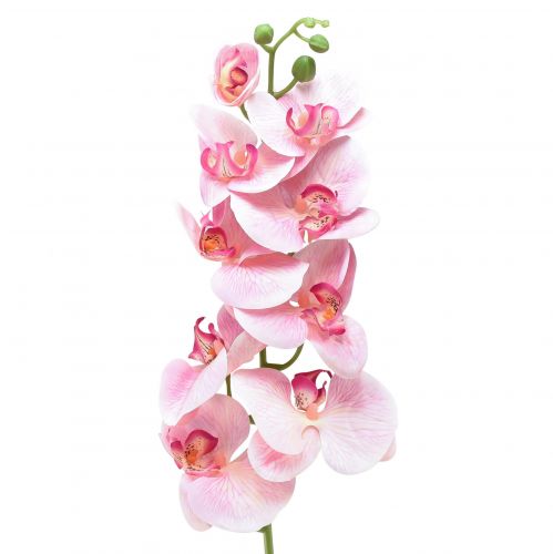 Orchidée Phalaenopsis artificielle 9 fleurs rose blanc 96cm