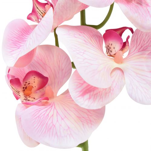 Article Orchidée Phalaenopsis artificielle 9 fleurs rose blanc 96cm