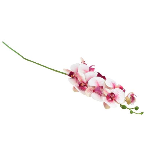 Article Orchidée Phalaenopsis artificielle 9 fleurs blanc fuchsia 96cm