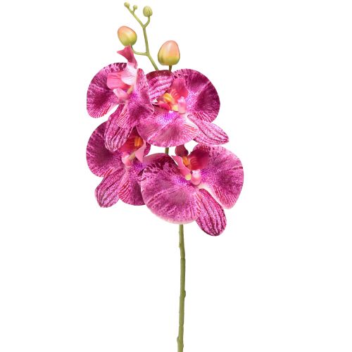 Floristik24 Orchidée flammée artificielle Phalaenopsis violette 72cm