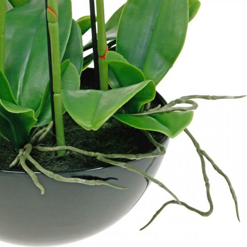 Floristik24 Orchidées artificielles en pot plante artificielle blanche 63cm