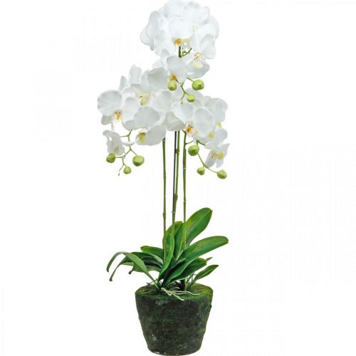 Orchidées artificielles pour le pot blanc 80cm