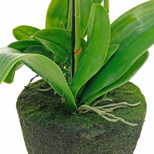 Article Orchidées artificielles pour le pot blanc 80cm