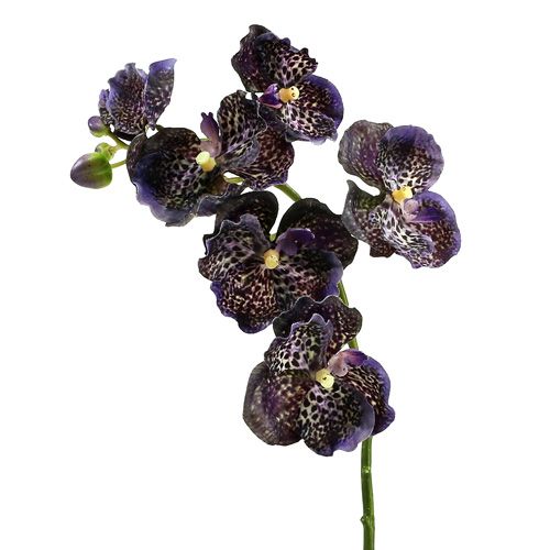 Floristik24.be Orchidée Vanda violette artificielle L 44cm - acheter pas  cher en ligne