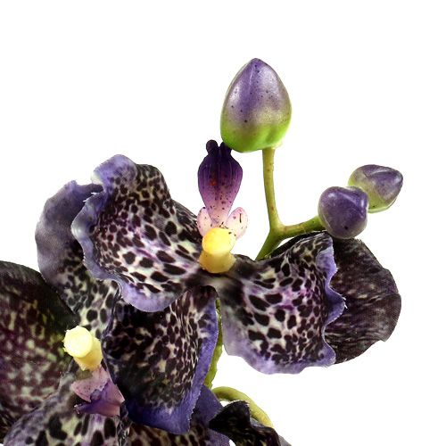 Floristik24.be Orchidée Vanda violette artificielle L 44cm - acheter pas  cher en ligne