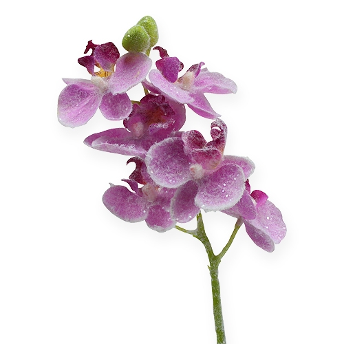 Orchidée avec paillettes, rose 25 cm