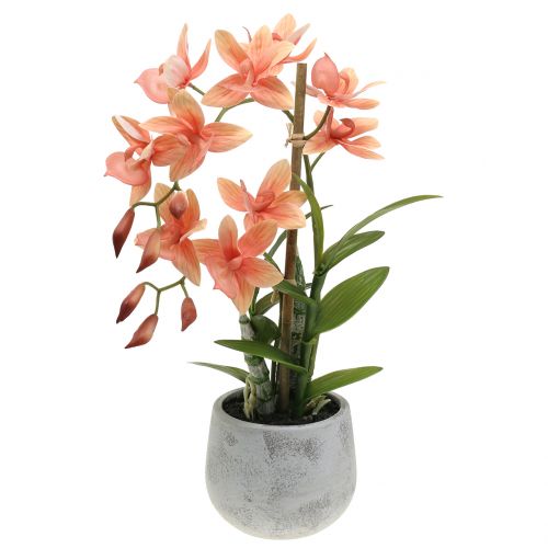 Orchidée en pot de saumon H41cm