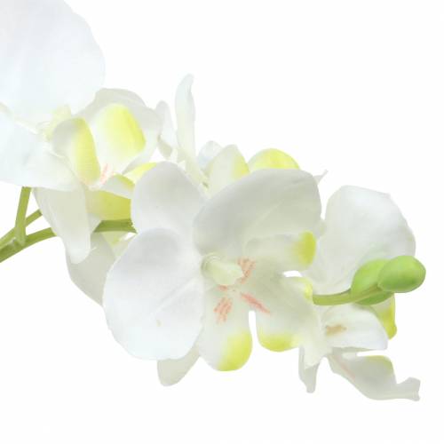 Article Orchidées blanches en pot plante artificielle H35cm