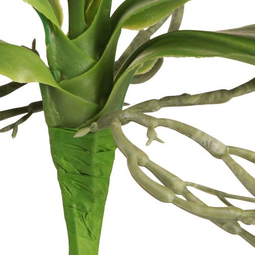 Article Feuilles d'orchidées avec racines aériennes artificielles 34x8x18cm