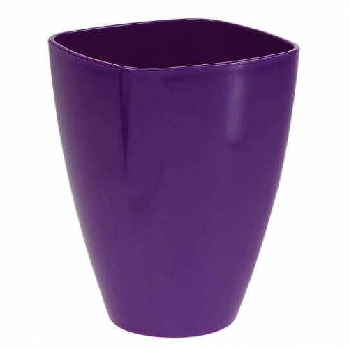 Pot à orchidées, brillant, Ø12,5 cm, violet acheter | Floristik24.be