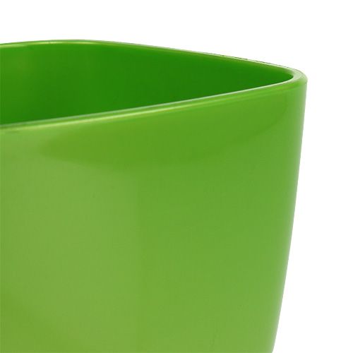 Article Pot à orchidées brillant Ø12,5cm citron vert, 1pièce