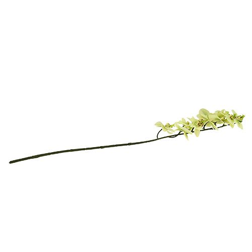 Article Branche d&#39;orchidée vert clair L58cm
