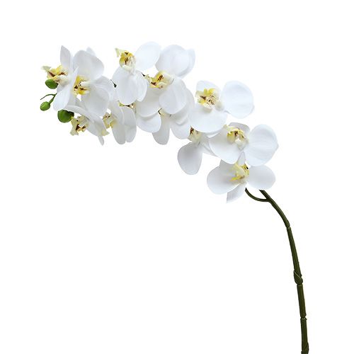 Article Branche d’orchidée blanche L 58 cm