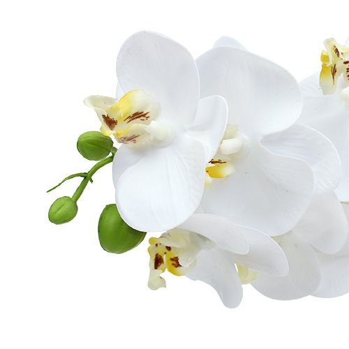 Article Branche d’orchidée blanche L 58 cm