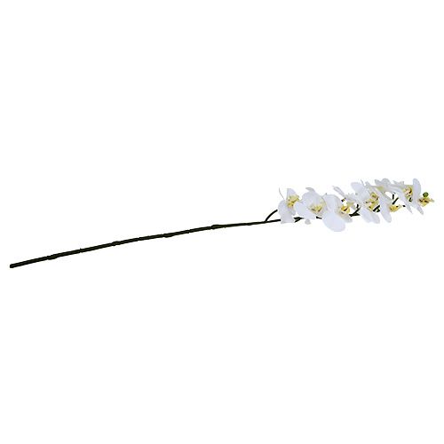 Article Branche d’orchidée blanche L 58 cm