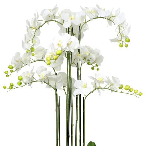 Floristik24 Orchidée blanche sur boule de 118cm