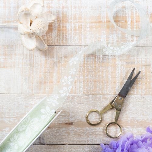 Article Ruban d'organza, motif floral, ruban cadeau, vert, 25 mm, 18 m