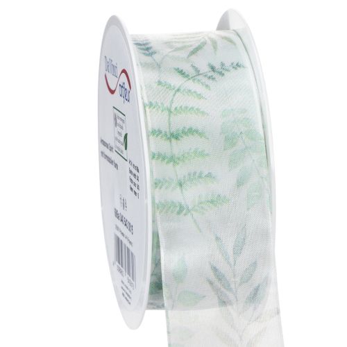 Floristik24 Ruban d'organza, ruban de mousseline, branches feuillues, vert, 40 mm, 15 m
