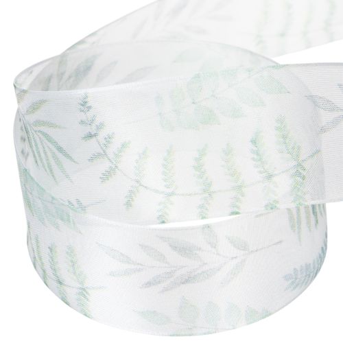 Article Ruban d'organza, ruban de mousseline, branches feuillues, vert, 40 mm, 15 m