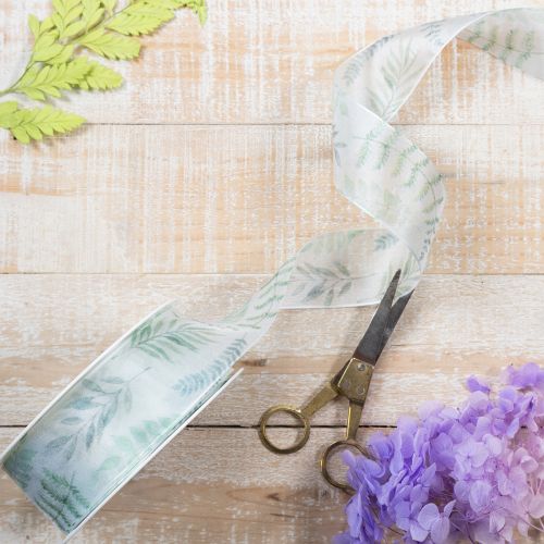 Article Ruban d'organza, ruban de mousseline, branches feuillues, vert, 40 mm, 15 m