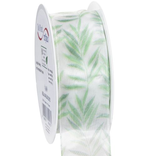 Floristik24 Ruban d'organza, ruban de mousseline, ruban à motifs végétaux verts, 40 mm x 15 m