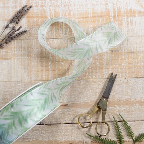 Article Ruban d'organza, ruban de mousseline, ruban à motifs végétaux verts, 40 mm x 15 m