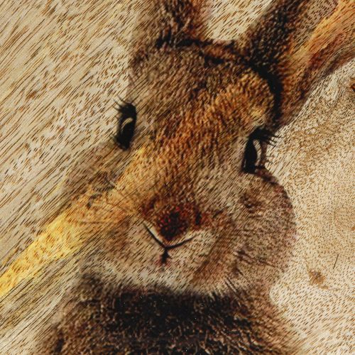 Article Assiette de Pâques Assiette décorative en bois Lapin 25×26cm