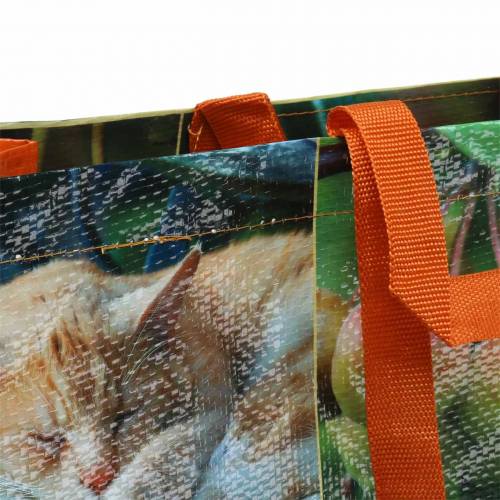 Floristik24 Sac shopping avec poignées pique-nique plastique 45×20×44cm