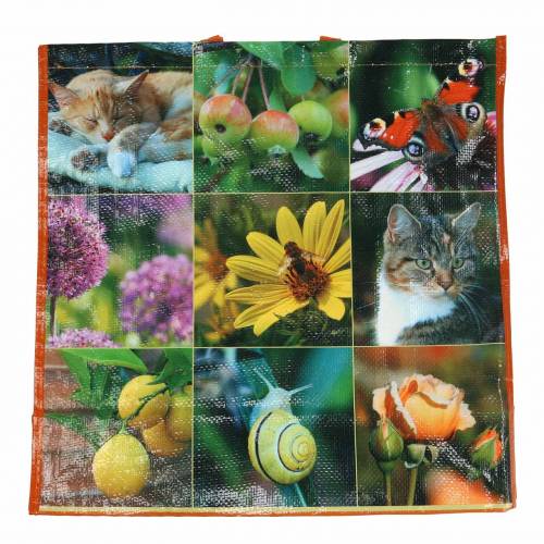 Floristik24 Sac shopping avec poignées pique-nique plastique 45×20×44cm