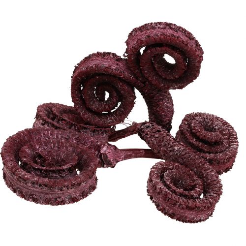 Article Cornes de palmier mâle Rouge bordeaux, blanchi 25 pièces