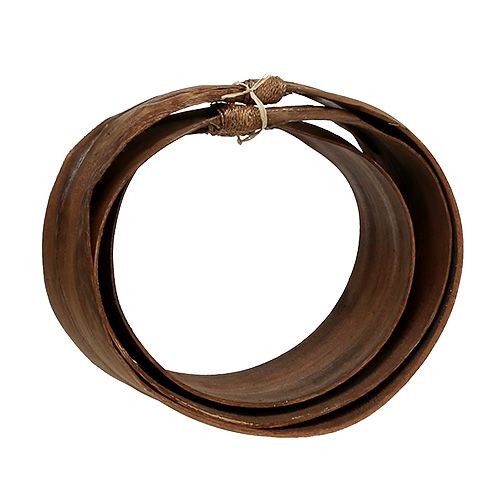Floristik24 Lot de feuilles de palmier naturelles 21 - 26 cm