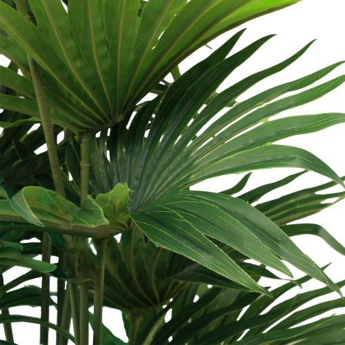 Floristik24 Palmier décoratif éventail palmier plantes artificielles pot vert 80cm