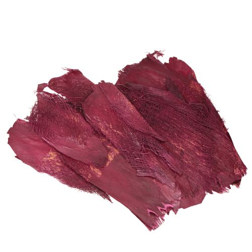 Floristik24 Fibre de palmier décoration naturelle fibre naturelle Baie 25-50cm 250g