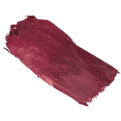 Floristik24 Fibre de palmier décoration naturelle fibre naturelle Baie 25-50cm 250g