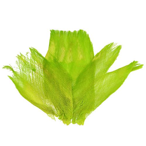 Fibre de palmier 400 g vert clair