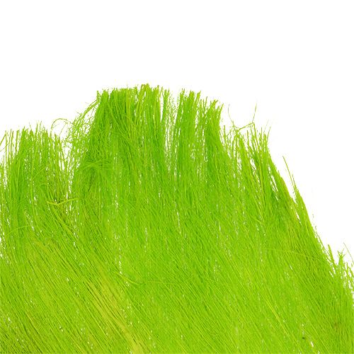 Floristik24 Fibre de palmier 400 g vert clair
