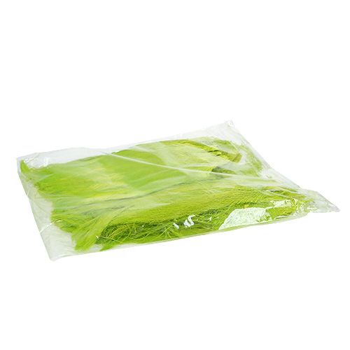 Floristik24 Fibre de palmier 400 g vert clair