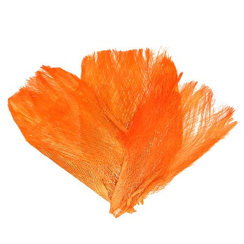 Floristik24 Fibre de palmier 400 g orange clair / pastel