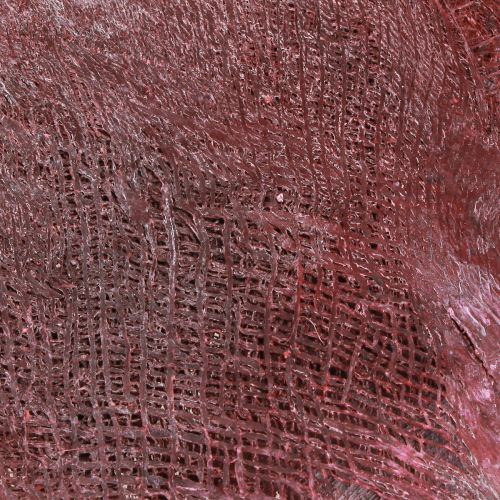 Article Fibre de palmier pour l&#39;artisanat Bordeaux blanchi 20-40cm 250g