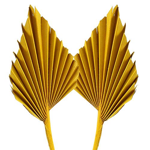 Floristik24 Palmspear Jaune 65 pcs