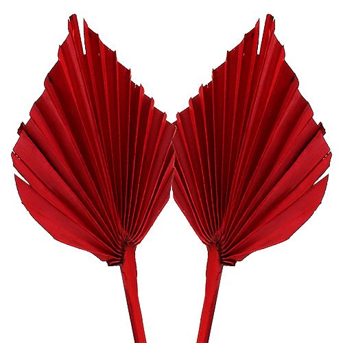 Palm lance rouge 65pcs