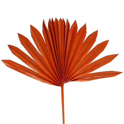 Article Palmspear Soleil Orange 30 pcs