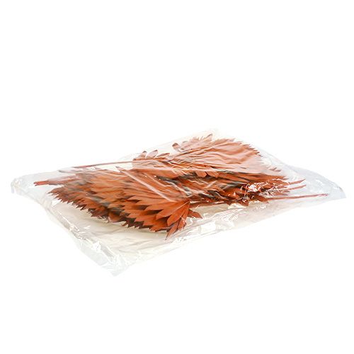 Article Palmspear Soleil Orange 30 pcs
