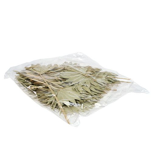 Article Palmspear Soleil mini nature 50 pcs